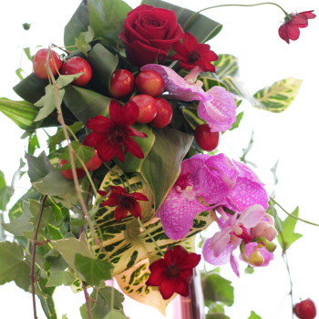 image-about01